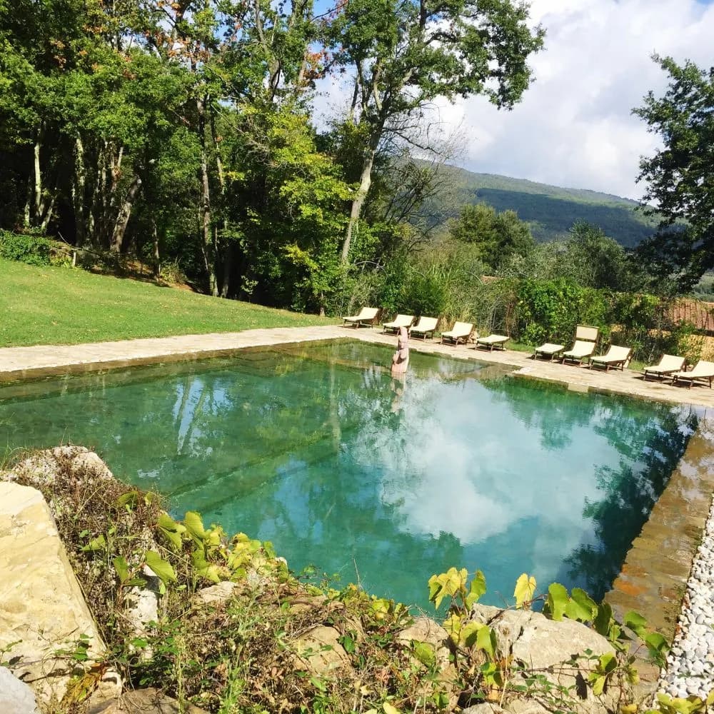 Chemiefreie, ressourcenschonende und hautfreundliche Naturpools – Gartenarchitektur Hammerl ist mit über 30 Jahren Erfahrung einer der führenden Anbieter in Österreich.