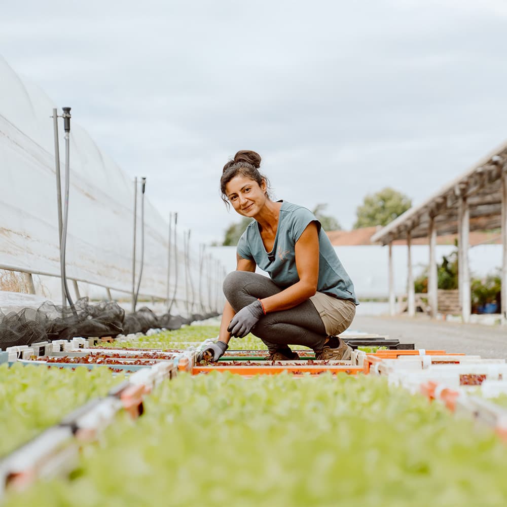 Gärtnerei Prauser bietet Tipps zur Pflanzenauswahl für individuelle Gartenprojekte und saisonale Floristik.