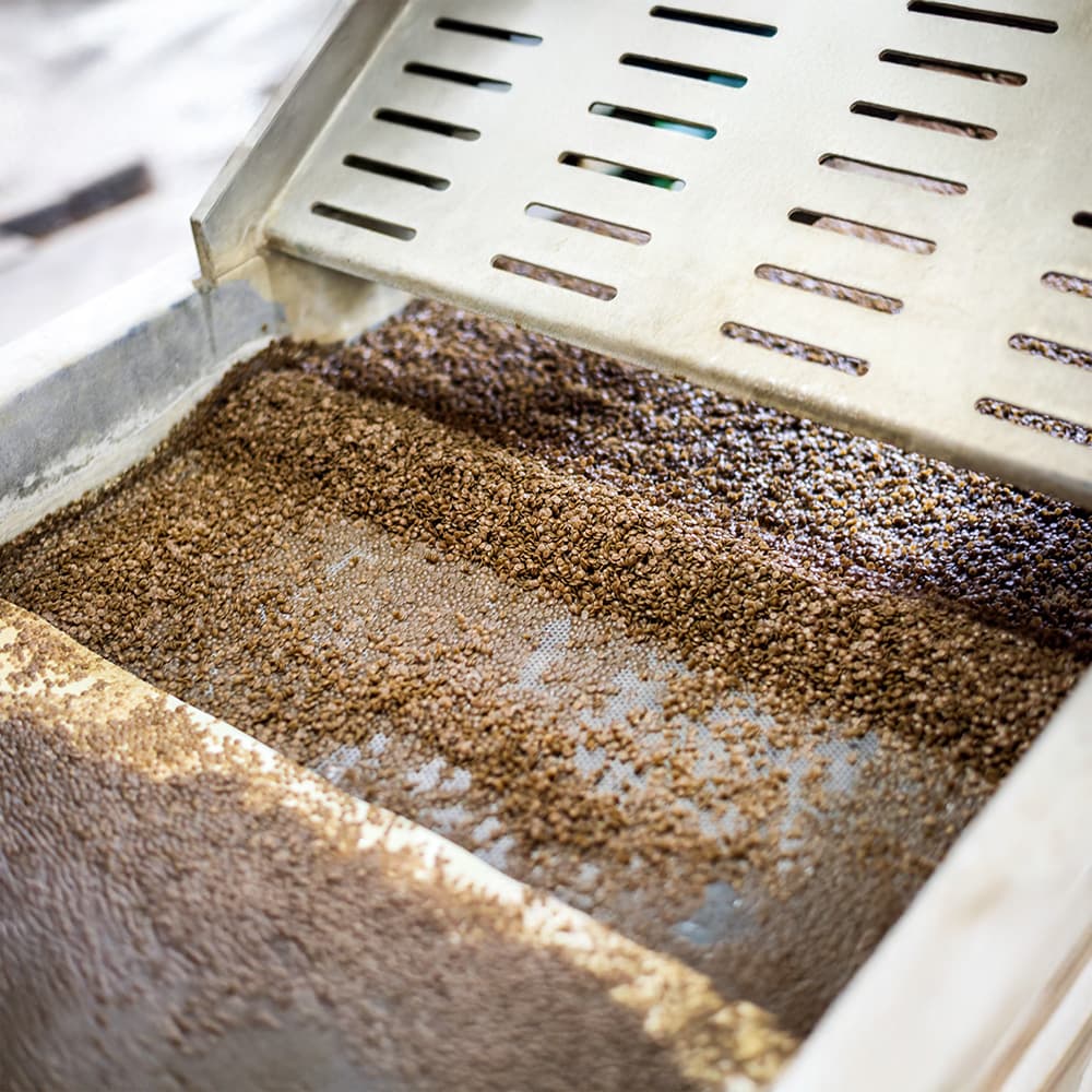 Andreas Auer zeigt moderne Getreidereinigung und Farbsortierung bei Erntenotfällen – getreidereiniger-auer als Experte.