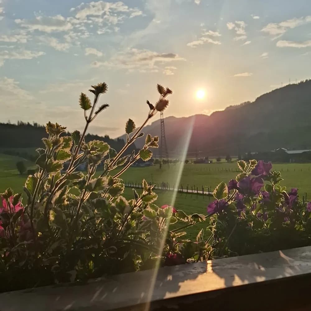 Das Ferienhaus Fallenegger bietet Familienurlaub in Flachau mit Tradition, moderner Ausstattung und persönlicher Gastfreundschaft.