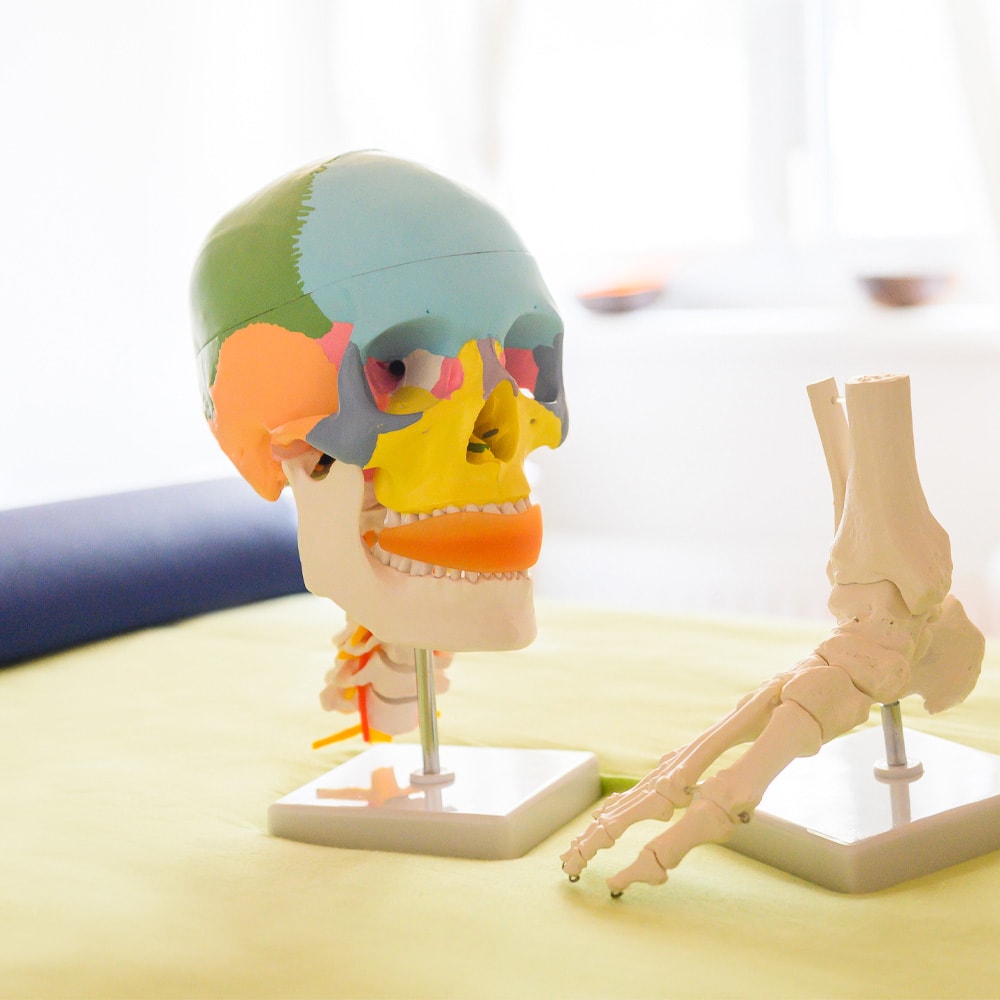 Dr. Andrea Hofbauer zeigt: Selbstermächtigung durch Myosophie